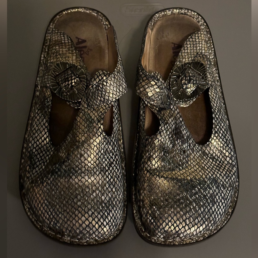 Alegria clogs